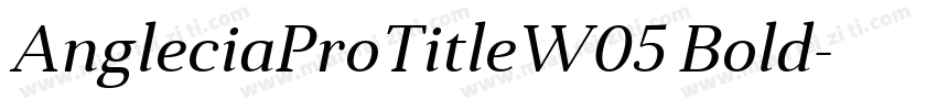 AngleciaProTitleW05 Bold字体转换